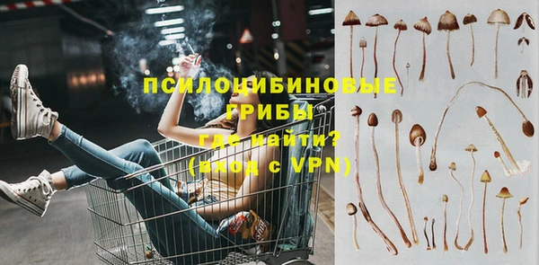 метадон Медногорск