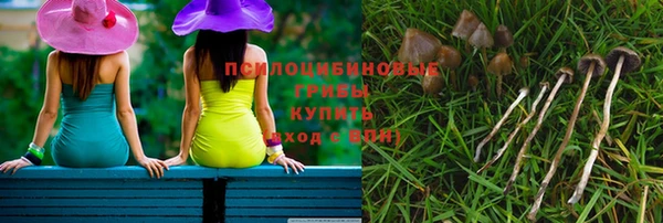 метадон Медногорск